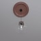 Ekena Millwork PVC Medallion (Canopies up to 13 1/2"), 22"OD x 3 1/2"ID x 1 1/2"P, Metallic Champagne Pink CMP22TRFCP - alternate 9